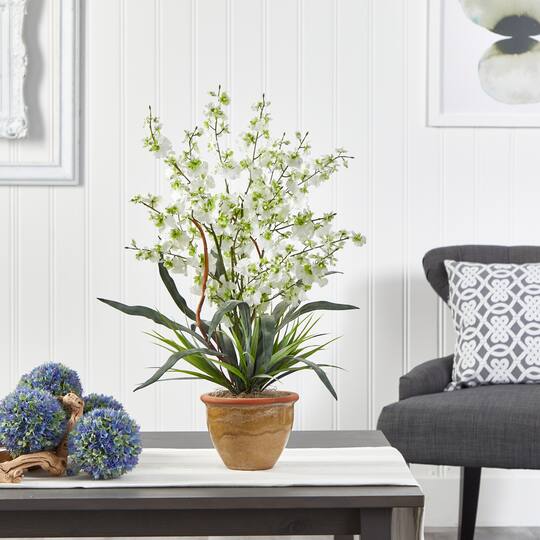 2ft. Green Dancing Lady Orchid Arrangement in Ceramic Vase
